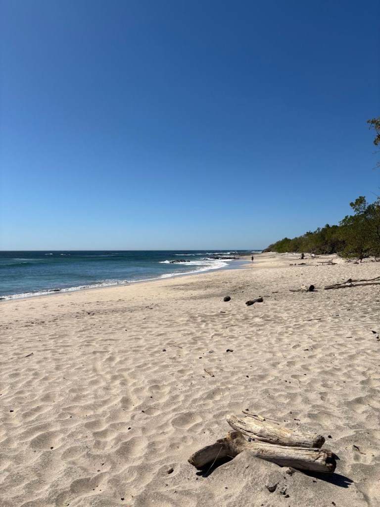 Guanacaste: 16 personas, 4&nbsp;bebés